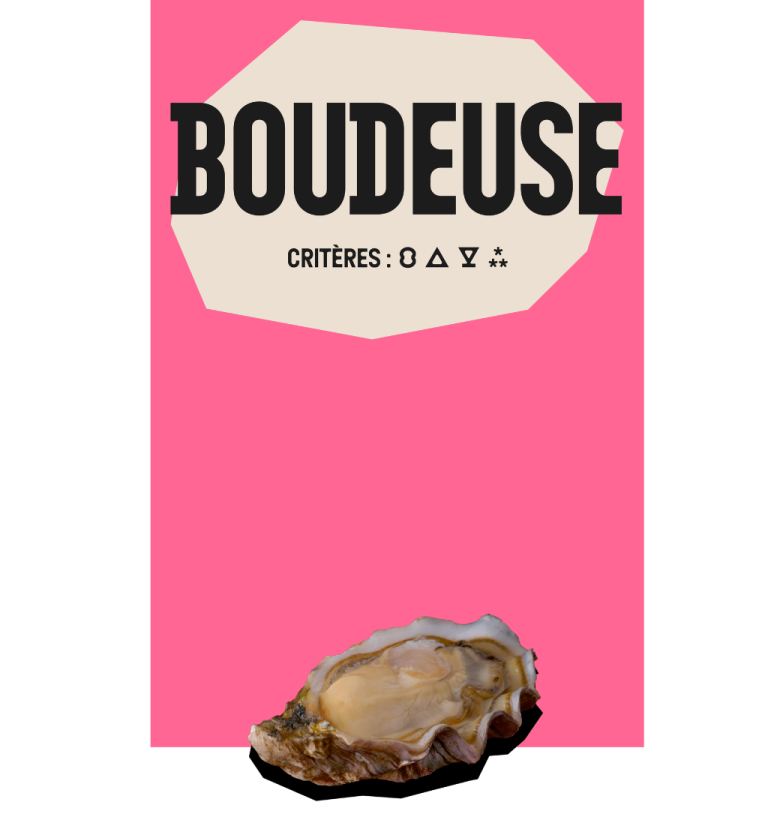 Boudeuse