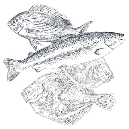 Farmed fish