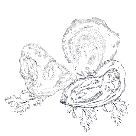 Oyster Selection