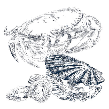 Shellfish and crustacean