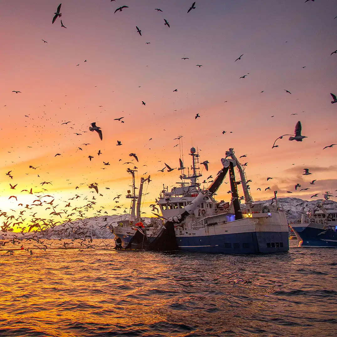 OurExpertise-fishing-boat