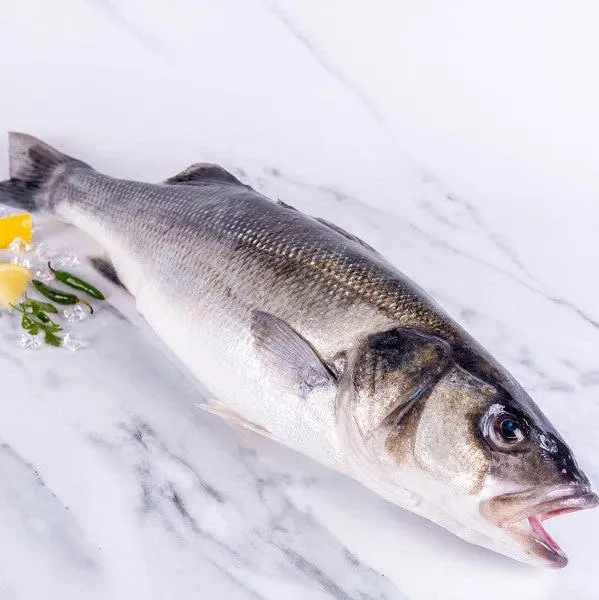 Sea_Bass