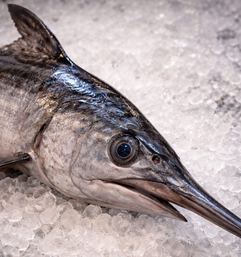 swordfish loin